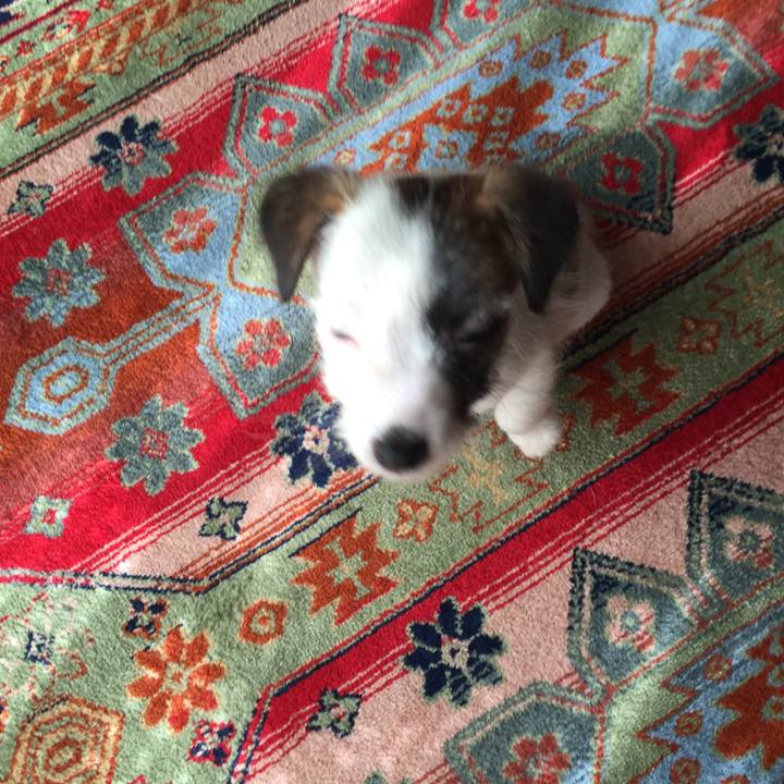 5cc229c2 dcac 4cf9 b005 67533bd0935b