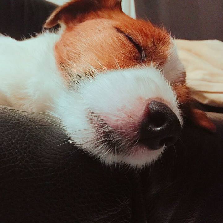 5cc30c0c 7212 4b71 8cec 247c276dd91c