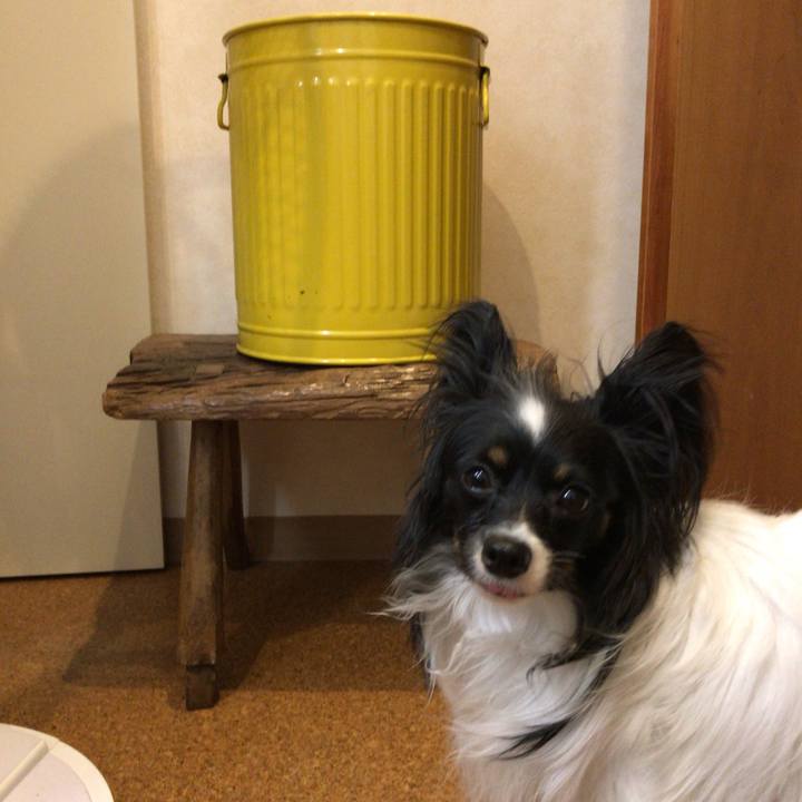 5cc3a482 8f50 47c2 93b8 9e5ca5badf80