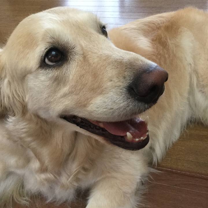 5cc3eee2 8009 4986 8554 497bcf51fd5a