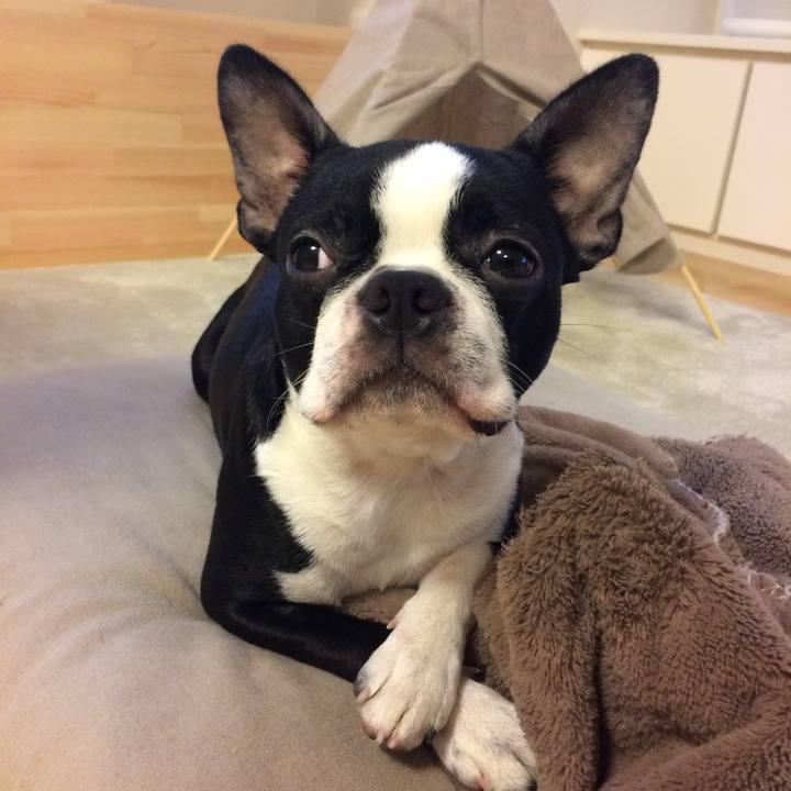 5cc43eb1 f311 4cac 9452 98537fdc3d12