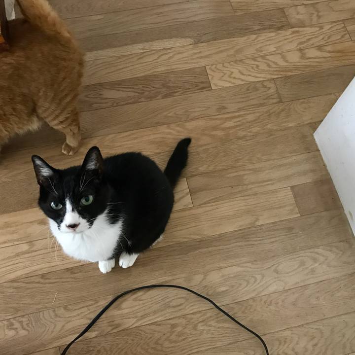 5cc4821b b325 4798 ad02 09a7d5358f9a