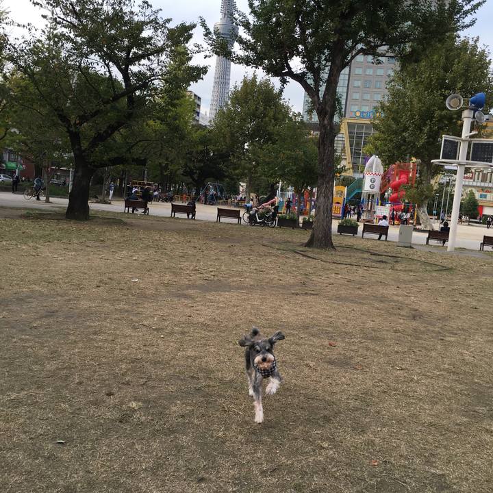 5cc50646 e868 4823 a688 079902f81899