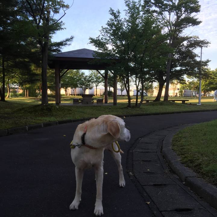 5cc54a9d edfe 4904 9215 565f95b74dd2