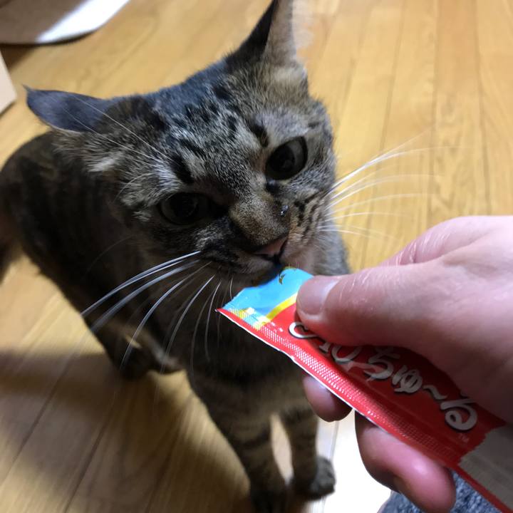 5cc5b1f4 67a6 4c18 a25b 69ccb01c6a30