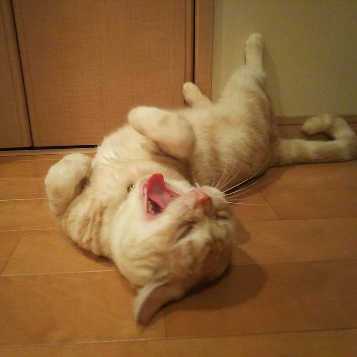 5cc5d831 d8d3 48e9 b179 85355b6d1161