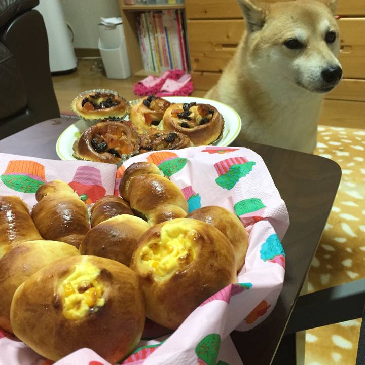 5cc5f134 57df 4663 9688 da349d88a9f8