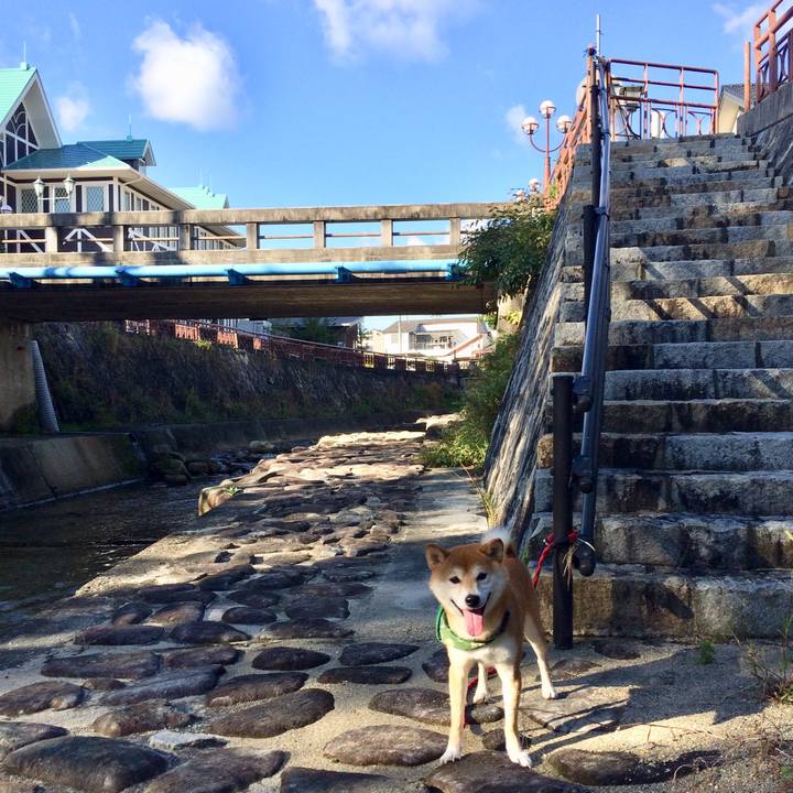 5cc832ae d8a5 4fcf aaaa 01bc5306757e