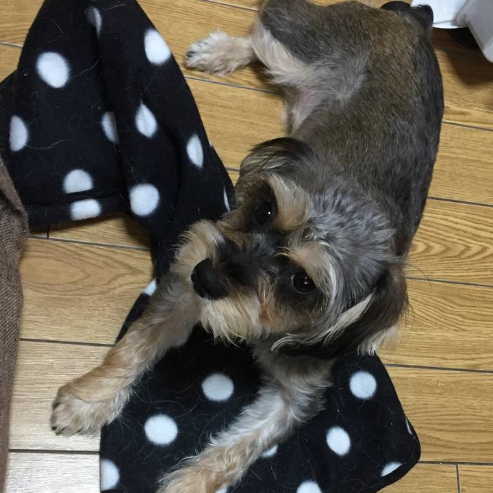 5cc839b3 c3c5 4032 b0ad 7ac9f401a533