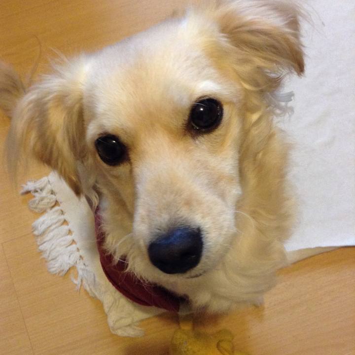 5cc8d828 8d9d 4666 8516 84bd2882c777