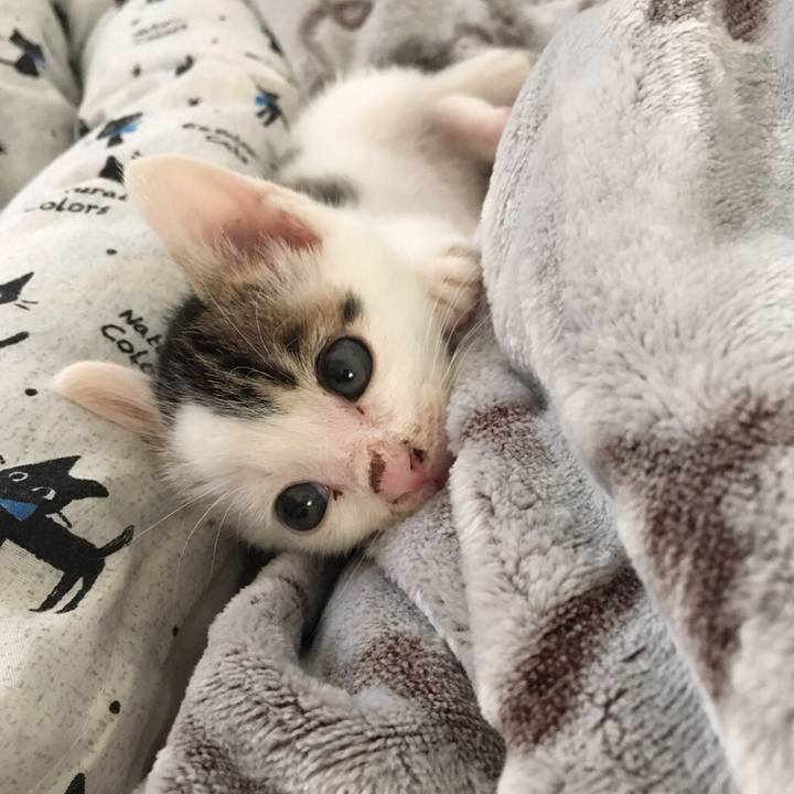 5cc8d906 891e 4d91 8c7e 73430ad662ca