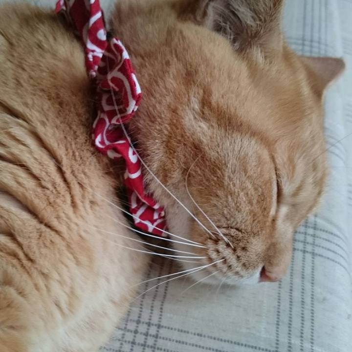 5cc90d8e 1203 4170 b0d5 bbf6a0408c63