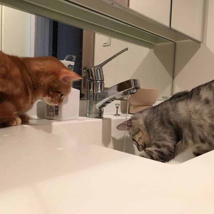 5cc96a28 442f 402d b6d7 df4646a3164e