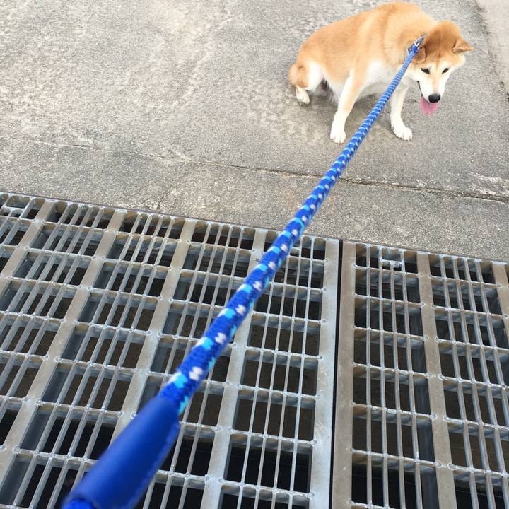 5cc9af4f 2fb1 406a 9fa2 8f1a59b33cf8