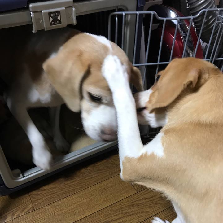 5cc9b66c beb0 45cb 83b7 8f82de2b429f