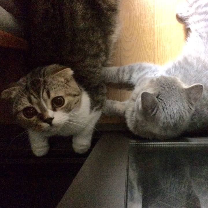 5cca0923 5943 4bc4 998e f4489826060e