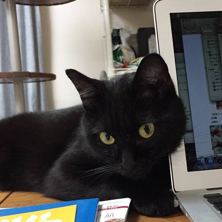 5cca56b9 77db 4a0f b156 6bc3c9baa913