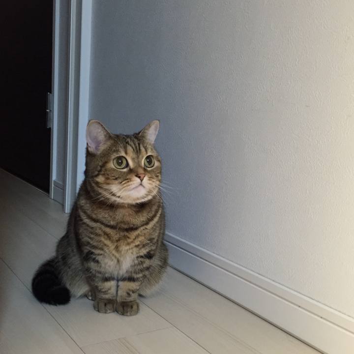 5ccb3af1 8dda 4431 9701 7d21659df9ee