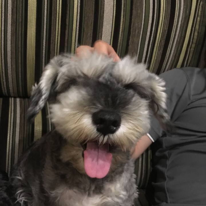 5ccbe4c8 b0c3 45c8 8c6c 6361cc958987