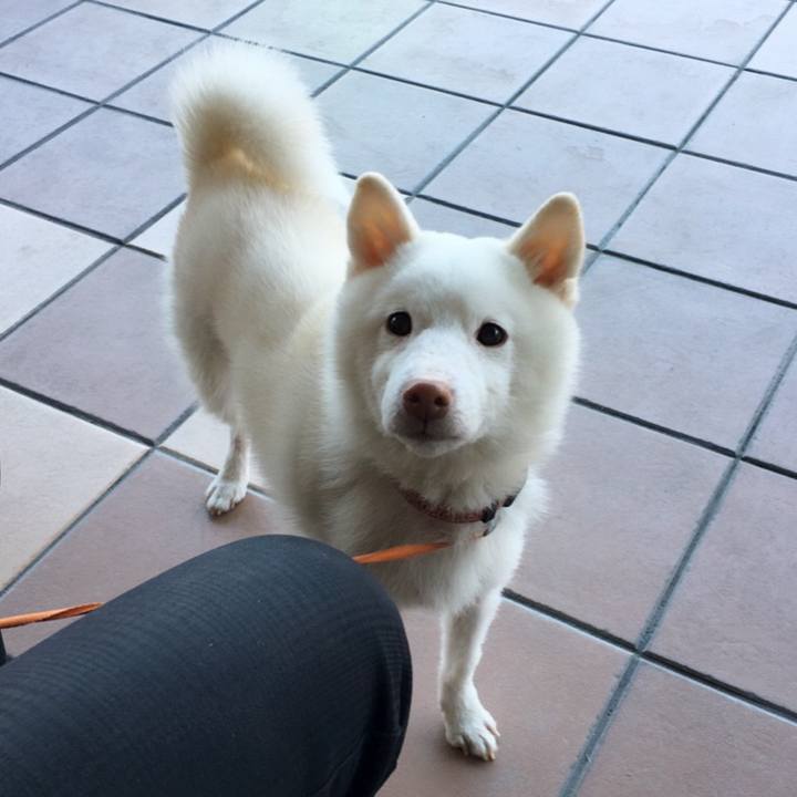 5ccc3c74 166d 443a 96d7 33ebcc2378e8