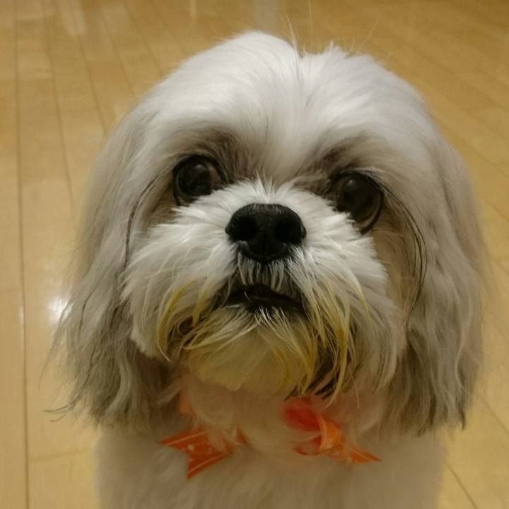 5ccc712e 44b7 46d9 add0 22d597dbf081