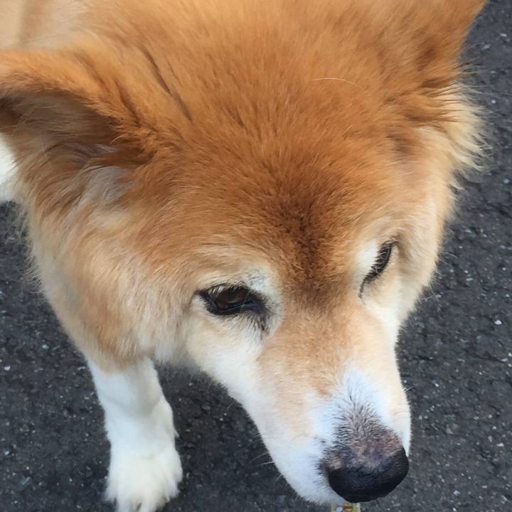 5cccd7c9 e04e 4c37 836f 5a0136000b41