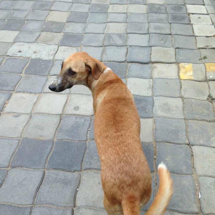 5ccd174e 1cb7 4980 97b4 147b66ac4124