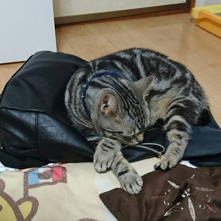 5ccd1f75 bd1d 44a2 8bf8 7353a5999791