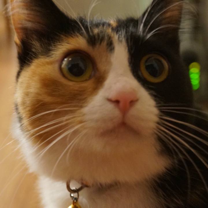 5ccd9451 fd1f 40d7 a5d9 ffa7933b7e93