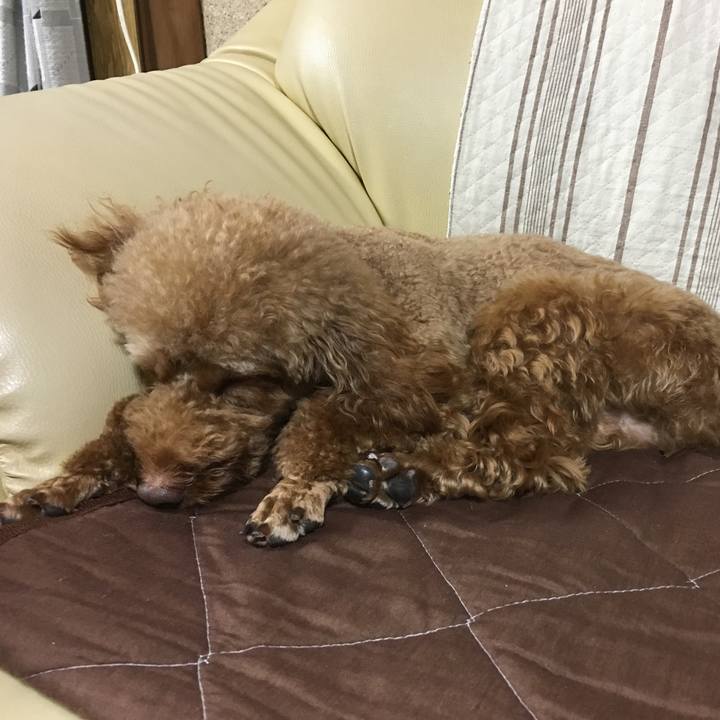 5cce9b56 766f 42f7 a8ab 0ff011b01b43