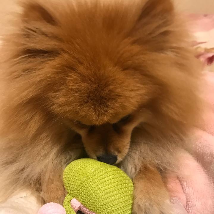 5ccec4e6 6207 465a a3d3 472a97476dc2