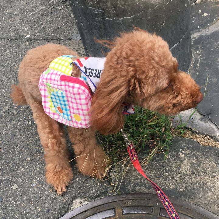 5ccf725c f0eb 467b 99b3 9f2062dbc533