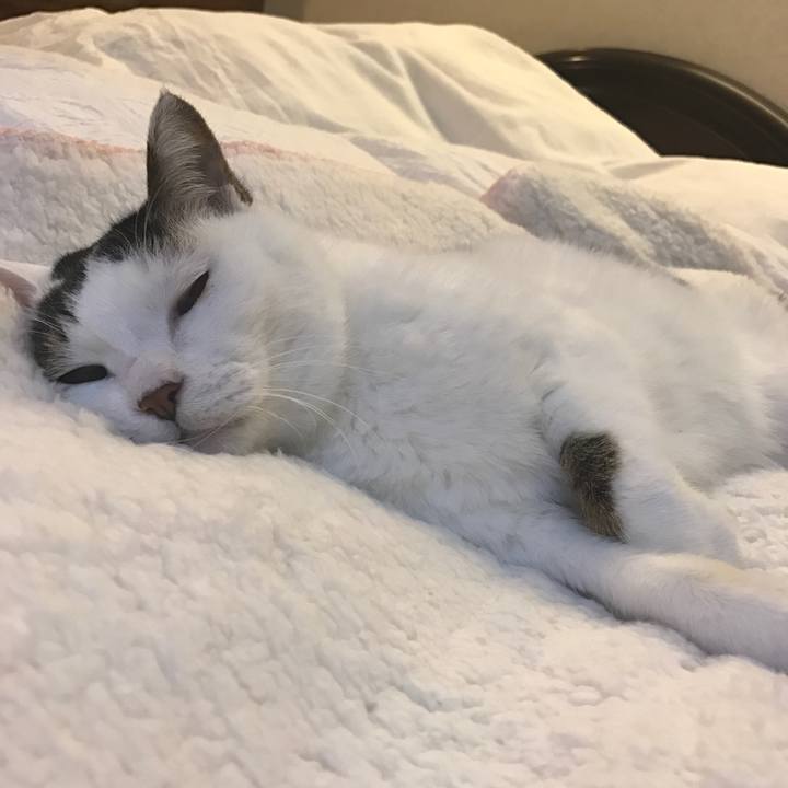 5ccfa063 677f 4d8a bbcc fef1f0fe5522