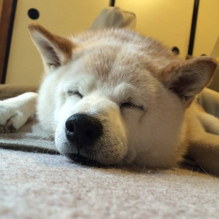 5cd0a0f3 d966 4f6d 9edf 4366fd4085a3