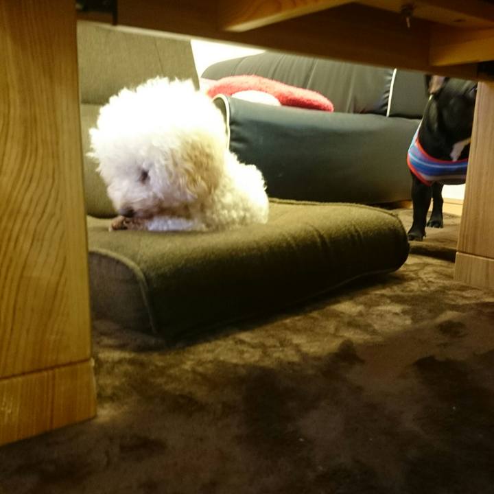 5cd1ce4a 3b77 4b52 a347 4f0ba9f23746