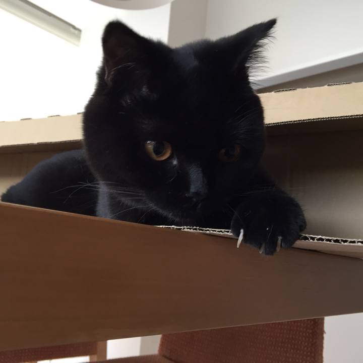 5cd2004e a4df 4ee5 8b70 9b1e37ace6e0