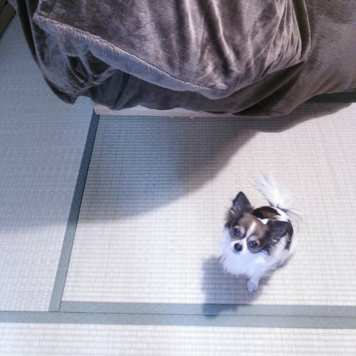 5cd2542f af58 4057 816b 69d37379c482