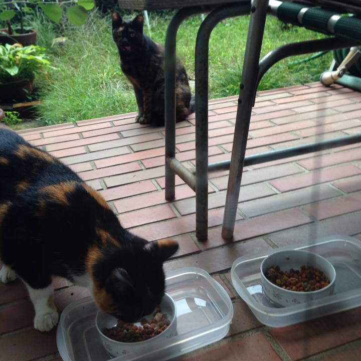 5cd2f3dd 1654 4da6 9937 157dad397fda