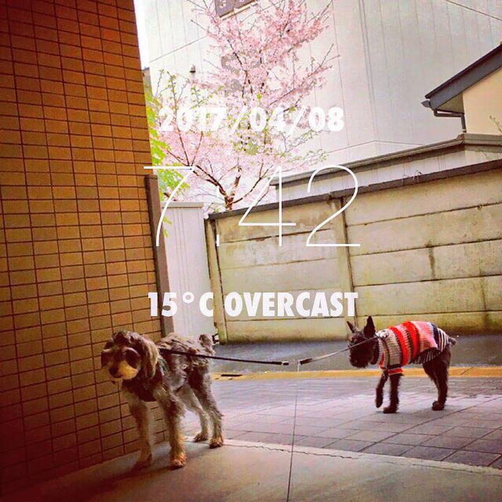 5cd31462 51b7 44b9 9b8b c3e62b297a1b