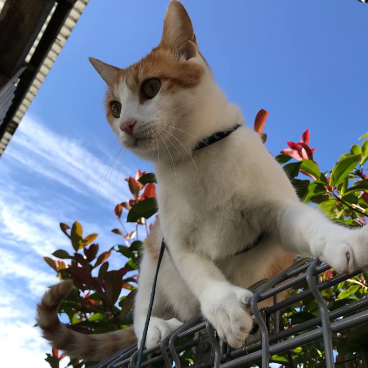 5cd3e8bb ed20 4eae 90f3 6b42beef7766