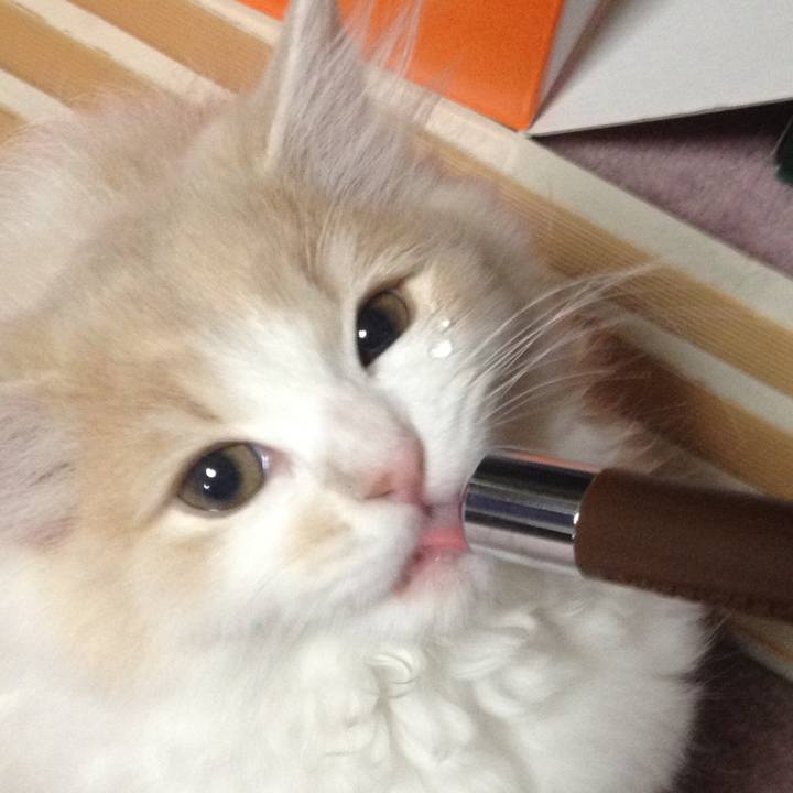 5cd41a21 f431 489f a21c 023091c3df38