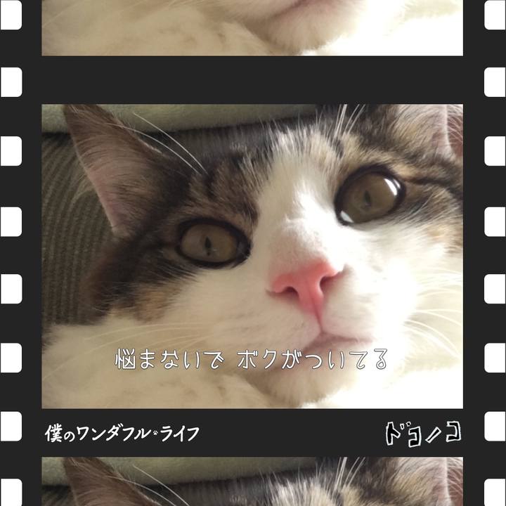 5cd54247 9e35 4b5e aa97 c62c67e60b0d