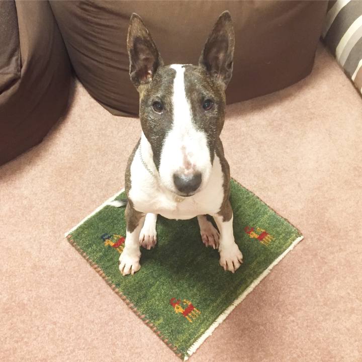 5cd5cd90 d3f1 43cf a994 ef9dbe9a342b