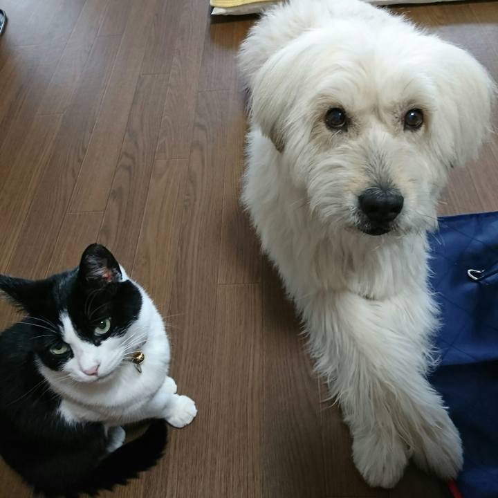 5cd624aa 71c6 472b 979f 428d403d7f96