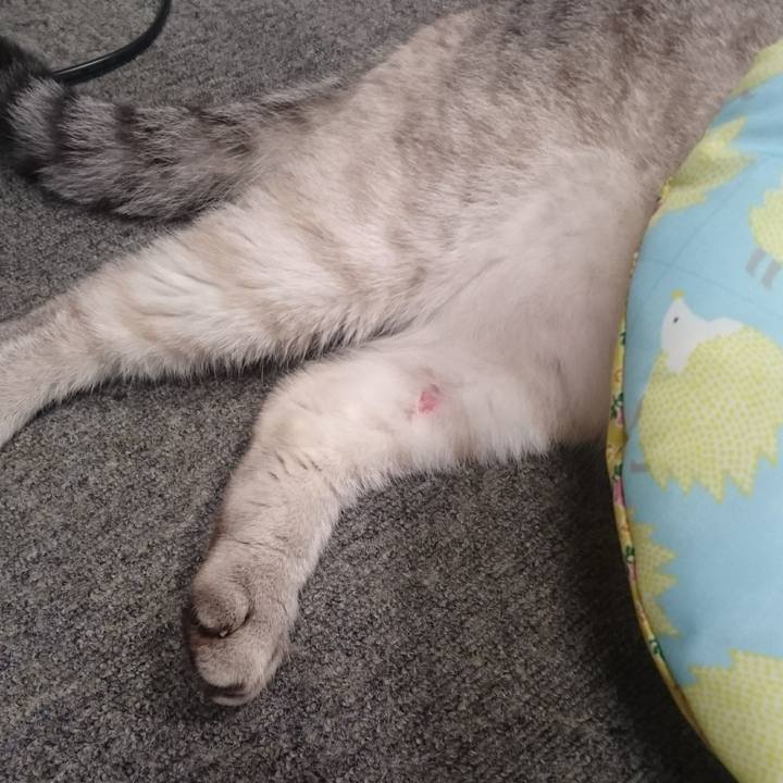 5cd6d1e0 ae82 4032 adf1 62992a444e31