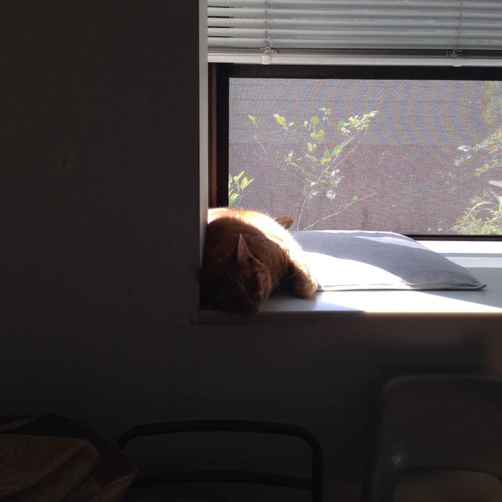 5cd6e8b5 3362 4e05 83e9 b826c15ce4c5