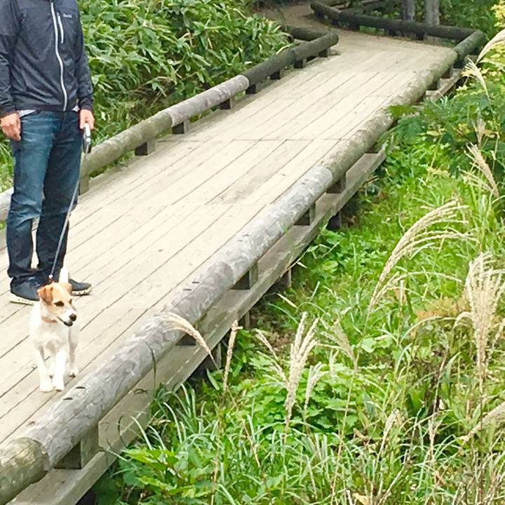 5cd6ff98 4f69 4bed 8182 5ea9426b1cd4