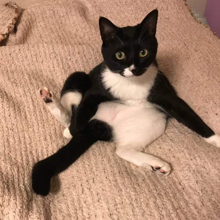 5cd73940 02f5 4f08 bcc5 f02bcf368128