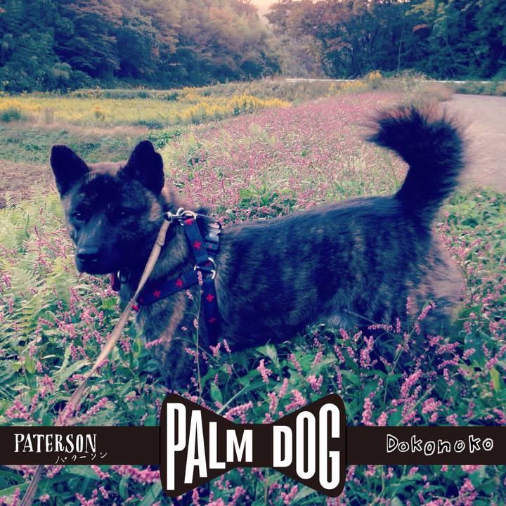 5cd7582e 0652 49ee 9257 e97f6d3ba368