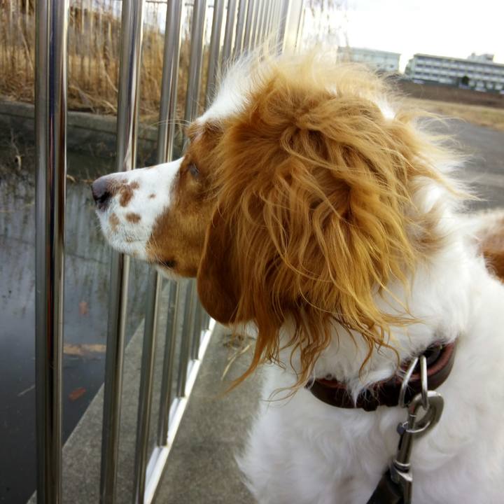 5cd8003e 2ddb 4096 b663 b323f5a66f05